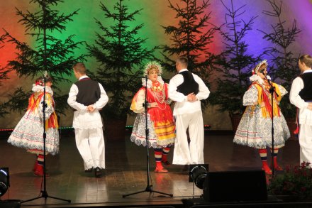 Występy konkursowe MSF